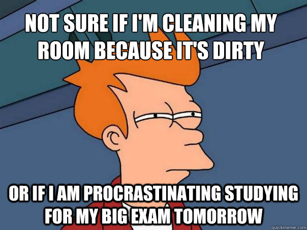 Not sure if I'm cleaning my room because it's dirty Or if I am procrastinating studying for my big exam tomorrow - Not sure if I'm cleaning my room because it's dirty Or if I am procrastinating studying for my big exam tomorrow  Futurama Fry