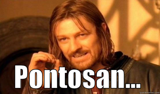  PONTOSAN... Boromir