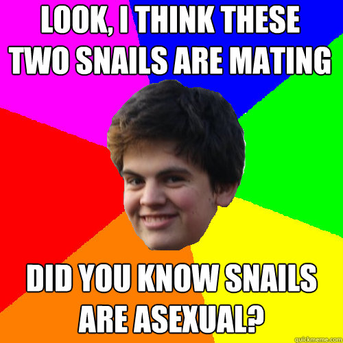 Look, I think these two snails are mating Did you know snails are