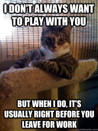 I don't always want to play with you But when I do, it's usually right before you leave for work  The Most Interesting Cat in the World