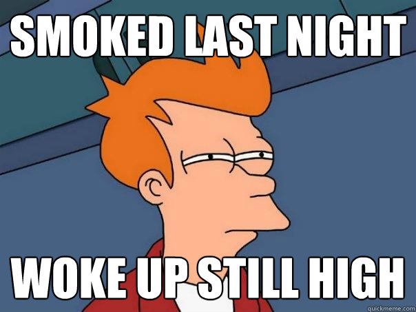 Smoked last night Woke up still high  Futurama Fry