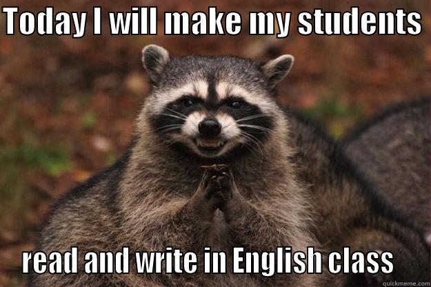 TODAY I WILL MAKE MY STUDENTS  READ AND WRITE IN ENGLISH CLASS   Evil Plotting Raccoon