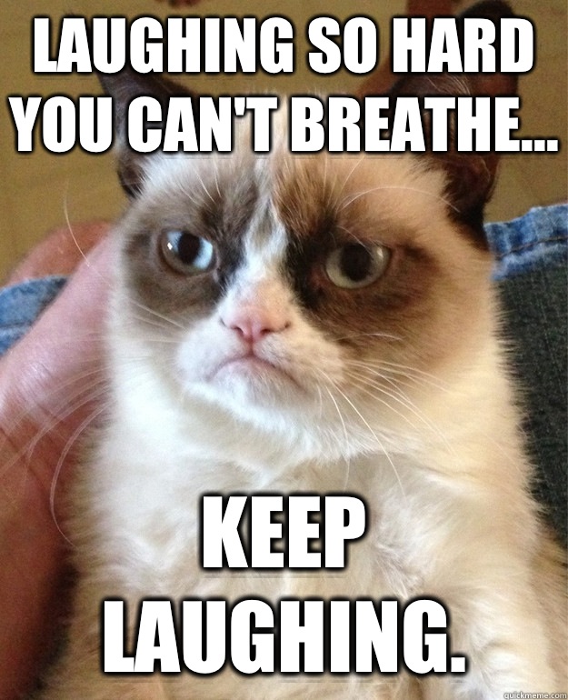 Laughing so hard you can't breathe... Keep laughing.  Grumpy Cat