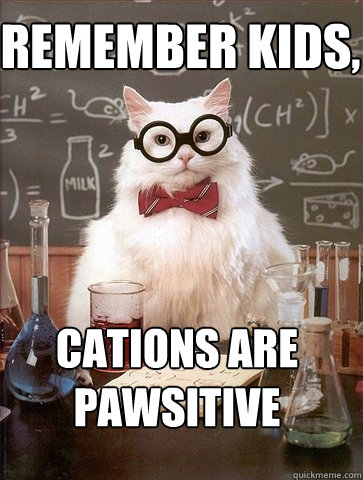Remember kids, CATions are PAWsitive  Chemistry Cat
