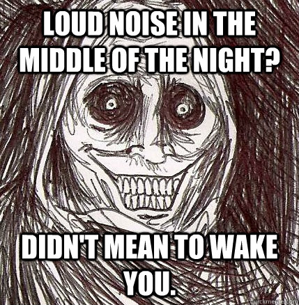 LOUD NOISE IN THE MIDDLE OF THE NIGHT? DIDN'T MEAN TO WAKE YOU. - LOUD NOISE IN THE MIDDLE OF THE NIGHT? DIDN'T MEAN TO WAKE YOU.  Horrifying Houseguest