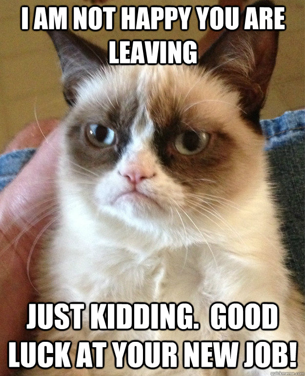I am not happy you are leaving Just kidding.  Good luck at your new job!  Grumpy Cat