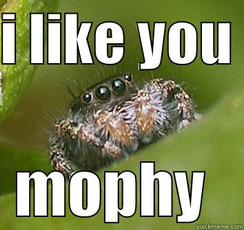 spider spy - I LIKE YOU  MOPHY  Misunderstood Spider