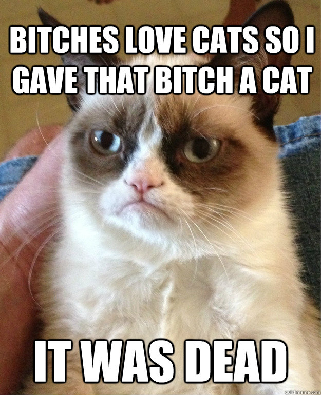 bitches love cats so i gave that bitch a cat it was dead - bitches love cats so i gave that bitch a cat it was dead  Grumpy Cat