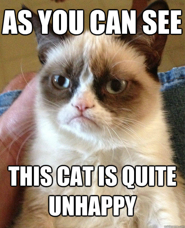 As you can see This cat is quite unhappy  Grumpy Cat