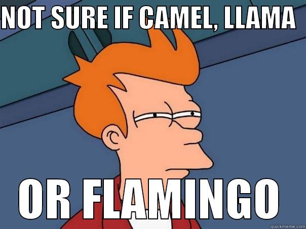 NOT SURE IF CAMEL, LLAMA   OR FLAMINGO Futurama Fry