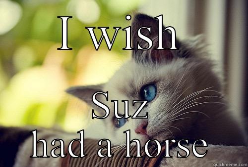 For suz - I WISH SUZ HAD A HORSE First World Problems Cat