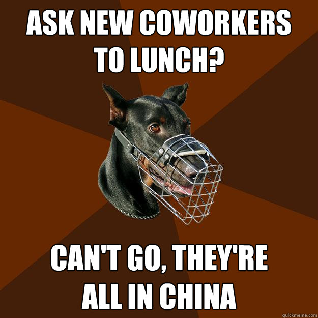 ASK NEW COWORKERS
TO LUNCH? CAN'T GO, THEY'RE
ALL IN CHINA  Developer Doberman