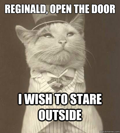 Reginald, Open the door I wish to stare outside   Aristocat