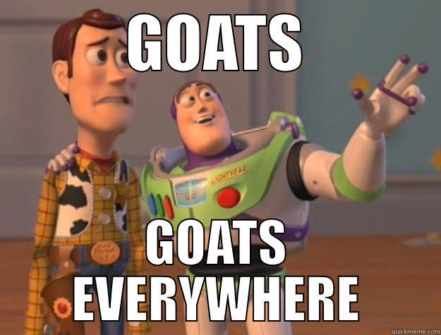GOATS GOATS EVERYWHERE Toy Story