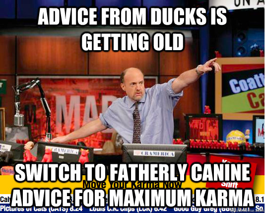 Advice from ducks is getting old Switch to fatherly canine advice for maximum karma  move your karma now