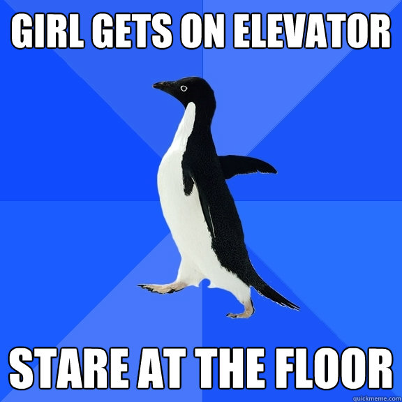 girl gets on elevator stare at the floor  Socially Awkward Penguin