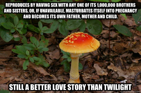 Reproduces by having sex with any one of its 1,000,000 brothers and sisters, or, if unavailable, masturbates itself into pregnancy and becomes its own father, mother and child. Still a better love story than twilight  Shroom