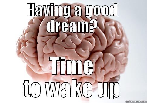 HAVING A GOOD DREAM? TIME TO WAKE UP Scumbag Brain