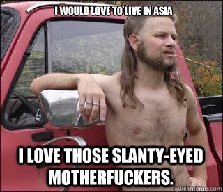 I would love to live in ASIA I love those slanty-eyed motherfuckers.   