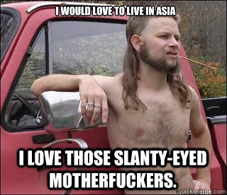 I would love to live in ASIA I love those slanty-eyed motherfuckers.   