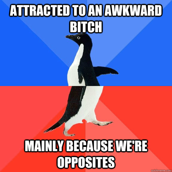Attracted to an awkward  bitch  mainly because we're opposites    Socially Awkward Awesome Penguin