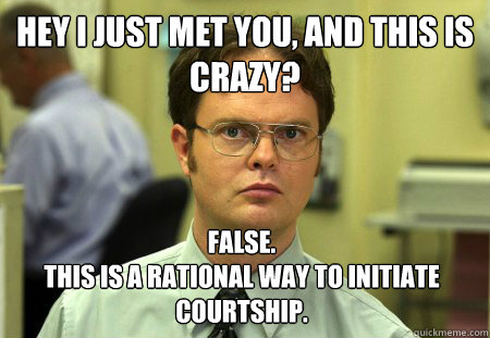 Hey I just met you, and this is crazy? False. 
This is a rational way to initiate courtship. - Hey I just met you, and this is crazy? False. 
This is a rational way to initiate courtship.  Dwight