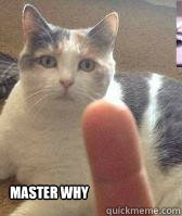 Master why - Master why  Misc