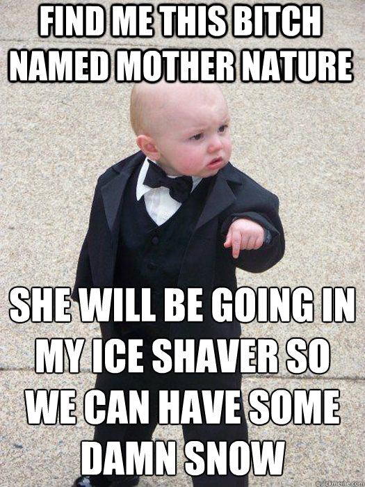 find me this bitch named mother nature she will be going in my ice shaver so we can have some damn snow  Baby Godfather