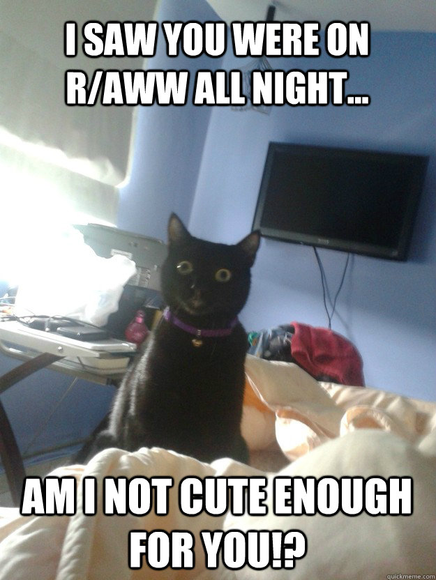 i saw you were on r/aww all night... am i not cute enough for you!? - i saw you were on r/aww all night... am i not cute enough for you!?  overly attached cat