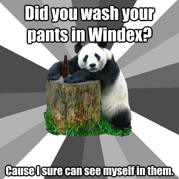 Did you wash your pants in Windex? Cause I sure can see myself in them. - Did you wash your pants in Windex? Cause I sure can see myself in them.  Pickup-Line Panda