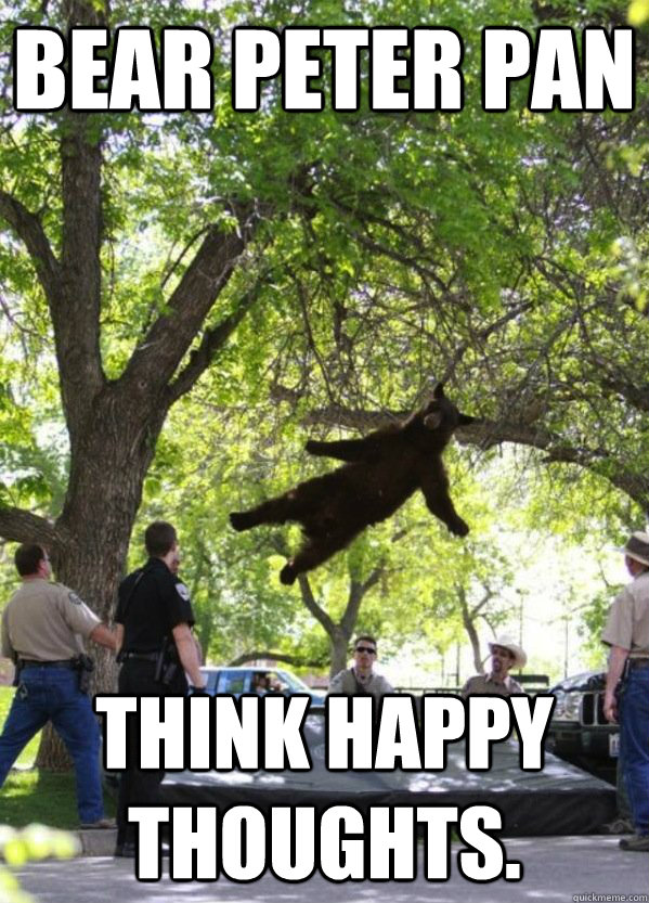 Bear Peter Pan Think happy thoughts. Bear Peter Pan quickmeme