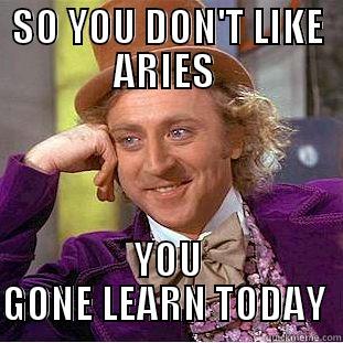 SO YOU DON'T LIKE ARIES  YOU GONE LEARN TODAY  Condescending Wonka