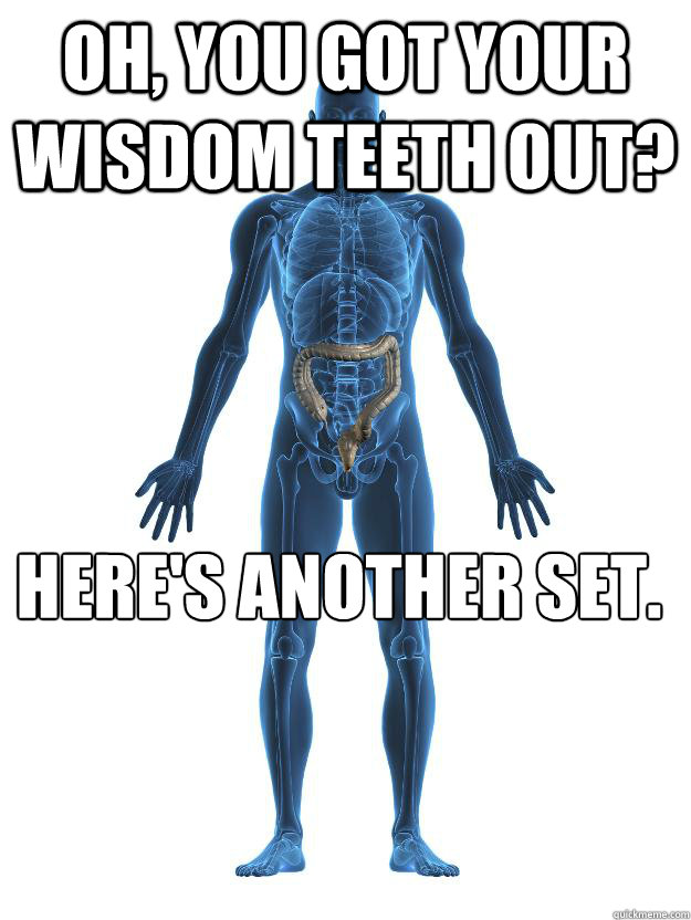 Oh, you got your wisdom teeth out? Here's another set. - Oh, you got your wisdom teeth out? Here's another set.  Scumbag human body