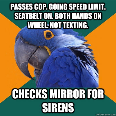 Passes Cop. Going speed limit. seatbelt on. both hands on wheel. not texting. Checks mirror for sirens  Paranoid Parrot