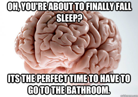 Oh, you're about to finally fall sleep? Its the perfect time to have to go to the bathroom.  Scumbag brain on life