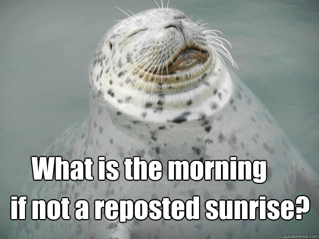 What is the morning 

 if not a reposted sunrise?  Zen Seal
