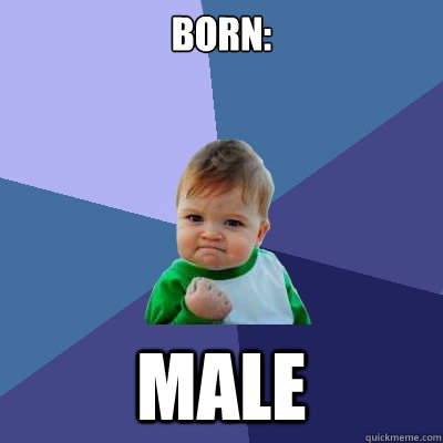 Born: Male - Born: Male  Success Kid