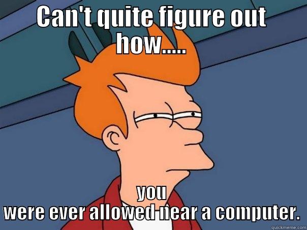 CAN'T QUITE FIGURE OUT HOW..... YOU WERE EVER ALLOWED NEAR A COMPUTER. Futurama Fry