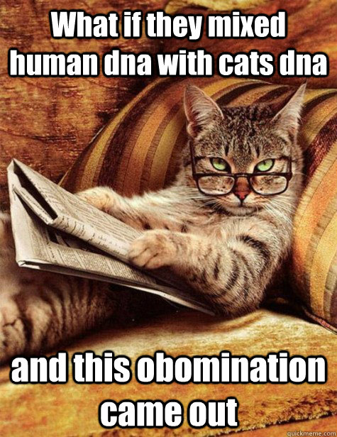 What if they mixed human dna with cats dna and this obomination came out  leave me alone cat