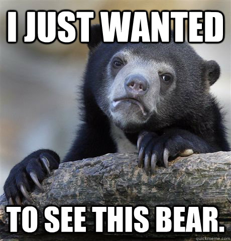 I just wanted  to see this bear.  Confession Bear