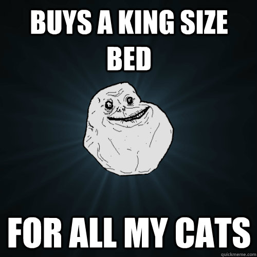 Buys a king size bed For all my cats  Forever Alone