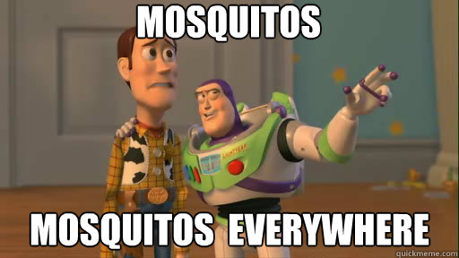 mosquitos mosquitos  everywhere  Everywhere