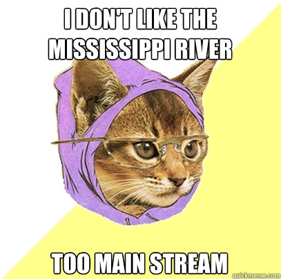i don't like the Mississippi river too main stream  Hipster Kitty
