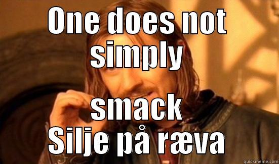 ONE DOES NOT SIMPLY SMACK SILJE PÅ RÆVA Boromir