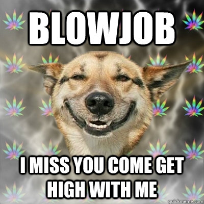 BLOWJOB I MISS YOU COME GET HIGH WITH ME - BLOWJOB I MISS YOU COME GET HIGH WITH ME  Stoner Dog