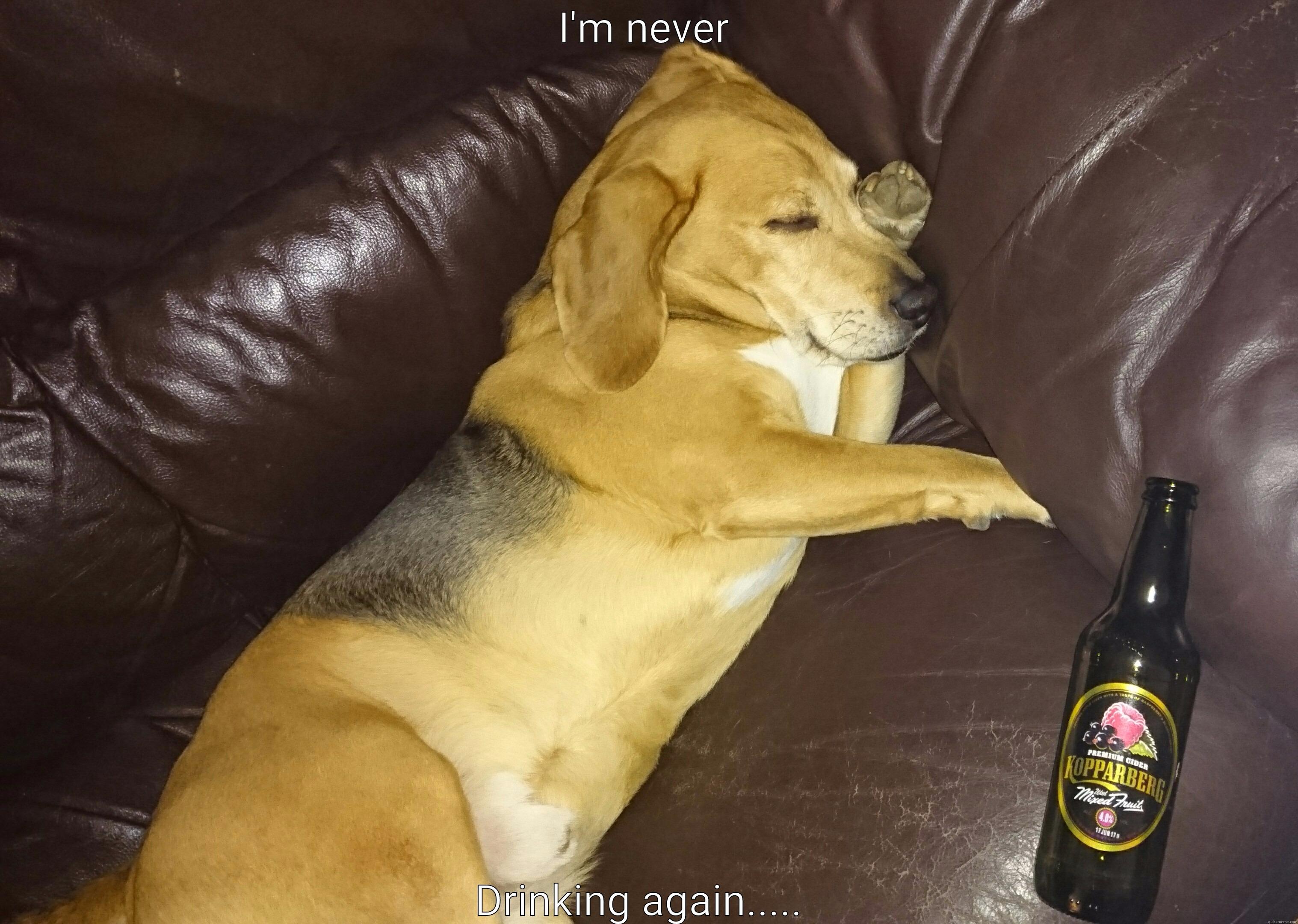 I'M NEVER DRINKING AGAIN.....  Misc