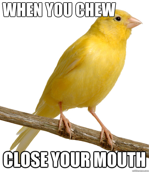 When you chew close your mouth  Common Sense Canary