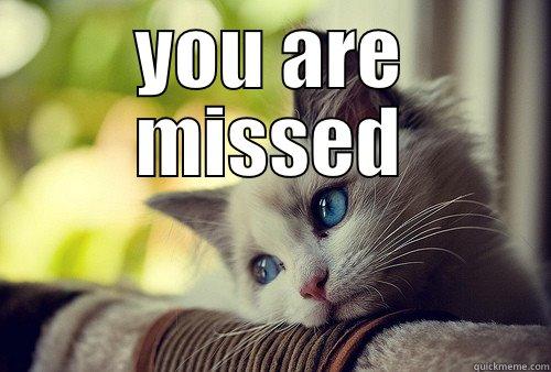 YOU ARE MISSED  First World Problems Cat