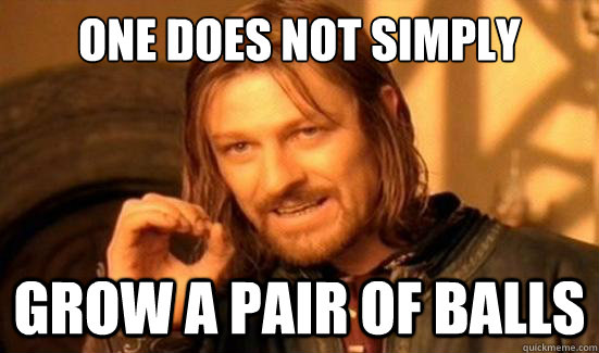 One Does Not Simply grow a pair of balls  Boromir