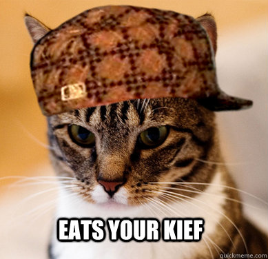  eats your kief  Scumbag Cat